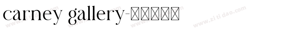 carney gallery字体转换